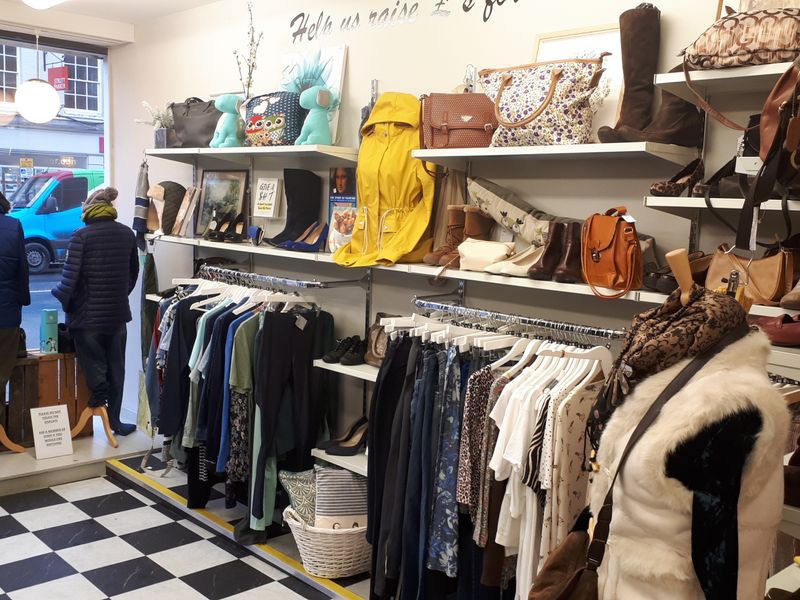 Dogs trust charity store shop near me